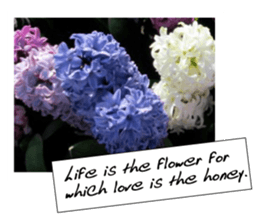 flowers with love greeting card sticker #14948803