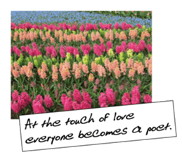 flowers with love greeting card sticker #14948804