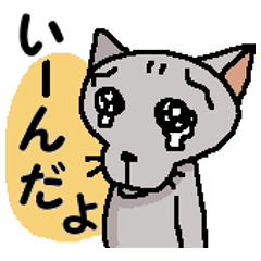 He is a cat named Gal 12