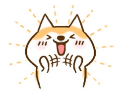 Shiba Inu Dog Shinbe 3 sticker #14949310