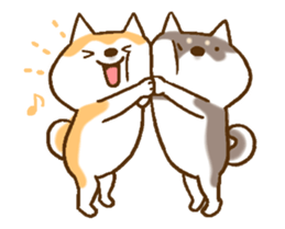 Shiba Inu Dog Shinbe 3 sticker #14949311