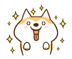 Shiba Inu Dog Shinbe 3 sticker #14949312