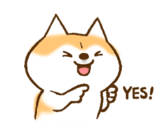 Shiba Inu Dog Shinbe 3 sticker #14949315