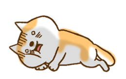 Shiba Inu Dog Shinbe 3 sticker #14949319