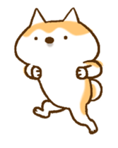 Shiba Inu Dog Shinbe 3 sticker #14949329