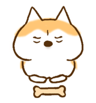 Shiba Inu Dog Shinbe 3 sticker #14949333