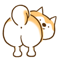 Shiba Inu Dog Shinbe 3