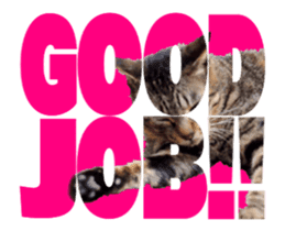Cats In Alphabet(animation photo) sticker #14950492