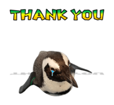 Real Bird E sticker #14950625