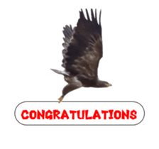 Real Bird E sticker #14950626