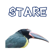 Real Bird E sticker #14950628