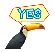 Real Bird E sticker #14950631