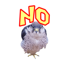 Real Bird E sticker #14950632