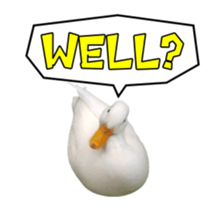 Real Bird E sticker #14950633