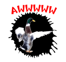 Real Bird E sticker #14950634