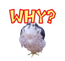 Real Bird E sticker #14950635