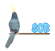 Real Bird E sticker #14950637