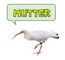 Real Bird E sticker #14950638