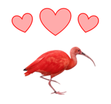 Real Bird E sticker #14950639