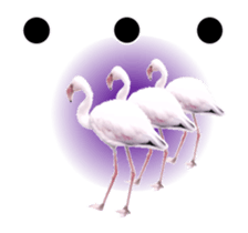Real Bird E sticker #14950640