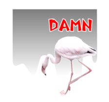Real Bird E sticker #14950641