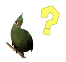Real Bird E sticker #14950643
