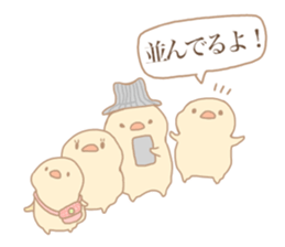 Practical birds sticker #14950667