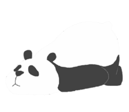 panda(8)-daily conversation- sticker #14951349