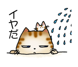 It is a clumsy cat. sticker #14951720