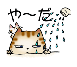 It is a clumsy cat. sticker #14951721