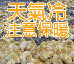 My funny stricker-2 sticker #14952347