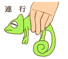 Chameleon's sticker sticker #14952684