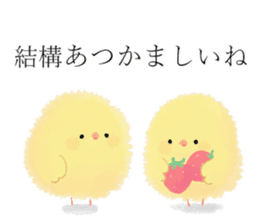 Frank Fluffy Chicks sticker #14955050