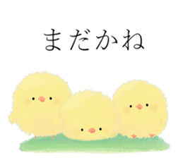 Frank Fluffy Chicks sticker #14955074