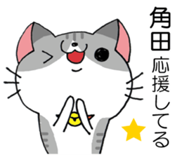 All For tsunoda sticker #14955146