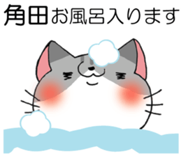 All For tsunoda sticker #14955156