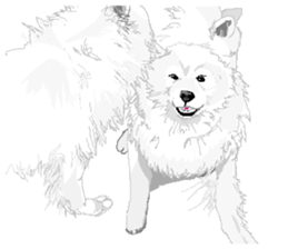 SAMOYED LOVE 2 sticker #14955318
