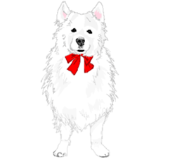 SAMOYED LOVE 2 sticker #14955319