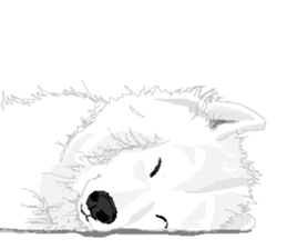 SAMOYED LOVE 2 sticker #14955320