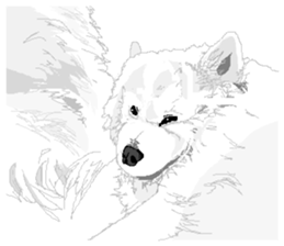 SAMOYED LOVE 2 sticker #14955321
