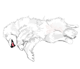 SAMOYED LOVE 2 sticker #14955323