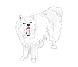 SAMOYED LOVE 2 sticker #14955326