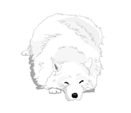 SAMOYED LOVE 2 sticker #14955327