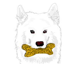 SAMOYED LOVE 2 sticker #14955329