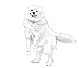 SAMOYED LOVE 2 sticker #14955332