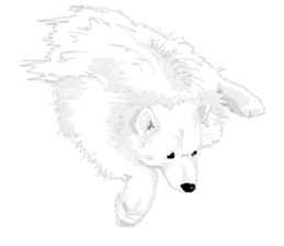 SAMOYED LOVE 2 sticker #14955342