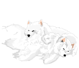SAMOYED LOVE 2 sticker #14955343