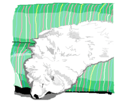 SAMOYED LOVE 2 sticker #14955346