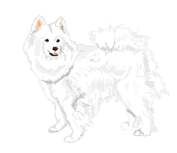 SAMOYED LOVE 2 sticker #14955347
