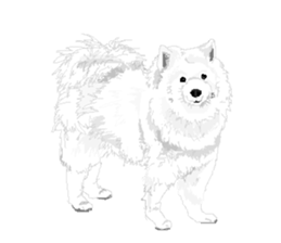 SAMOYED LOVE 2 sticker #14955348